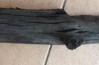 海南海口低价烧烤木炭批发，高性价比薪柴供应首选