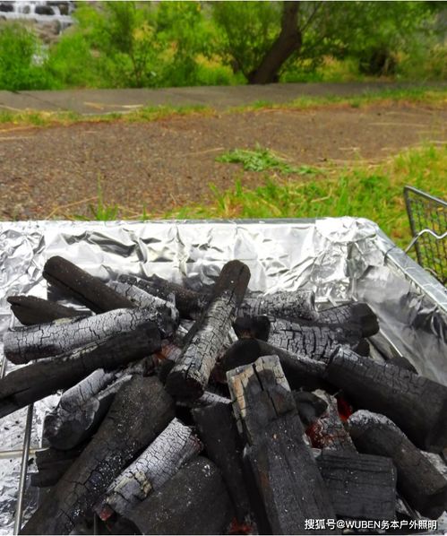 木炭回归土壤 户外露营后的生态选择与科学解答